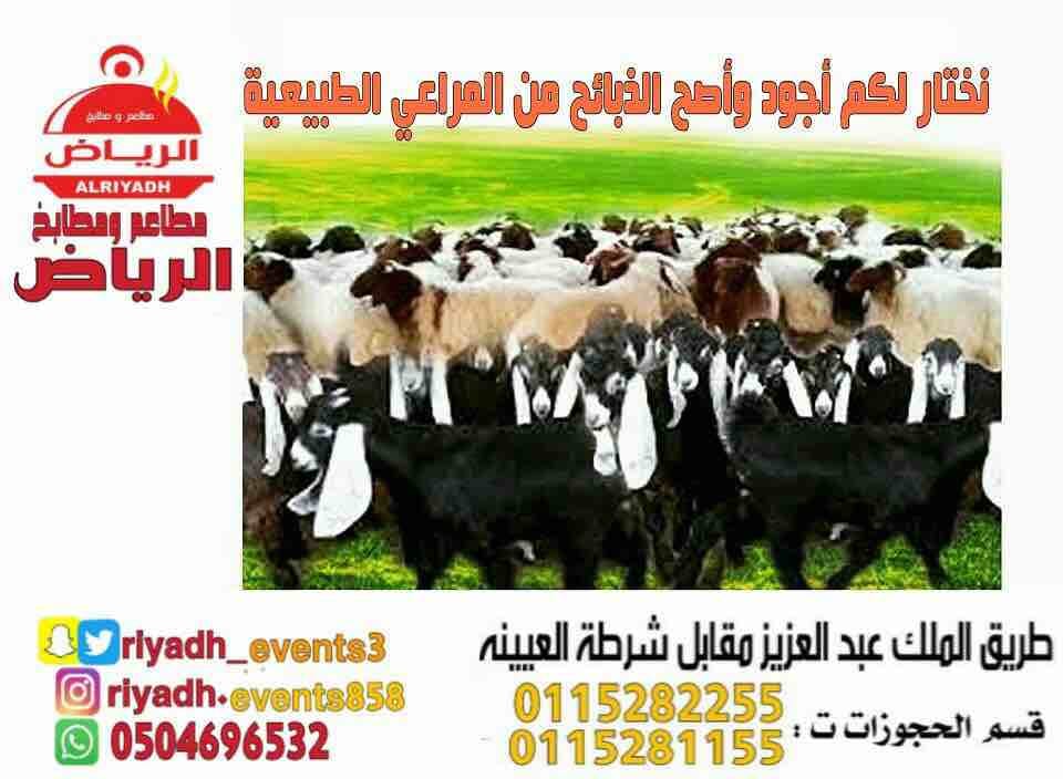 مطاعم ومطابخ الرياض
تفخر بتقديم كل انواع المأكولات والاطعمة وكذلك توفير اجود انواع الذبائح
ويوجد لدينا قسم خاص بالعائلات
ومن الماكولات التي يطبخها مطعمنا هي:
المندي
المظبي
الحنيذ ( المرخ )
طبعاً لحم...