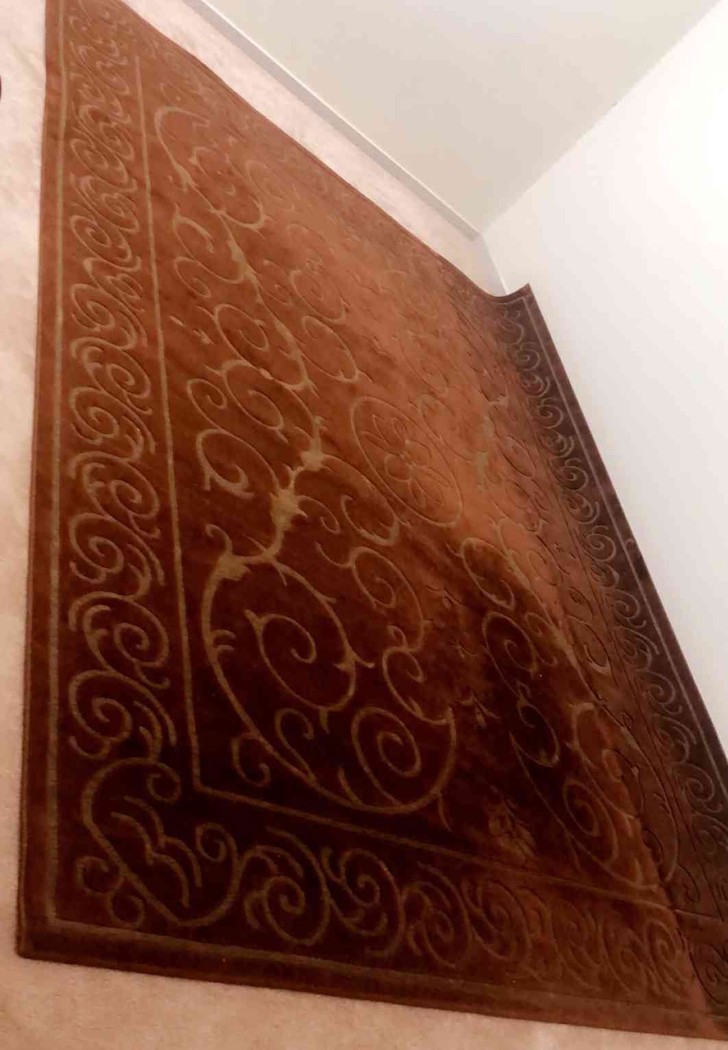 سجاد شبه جديد نوع فاخر بسعر مغري مع طاوله مجاناً
لا تنسَ أنك شاهدت هذا الإعلان في عنكبوت
العر...