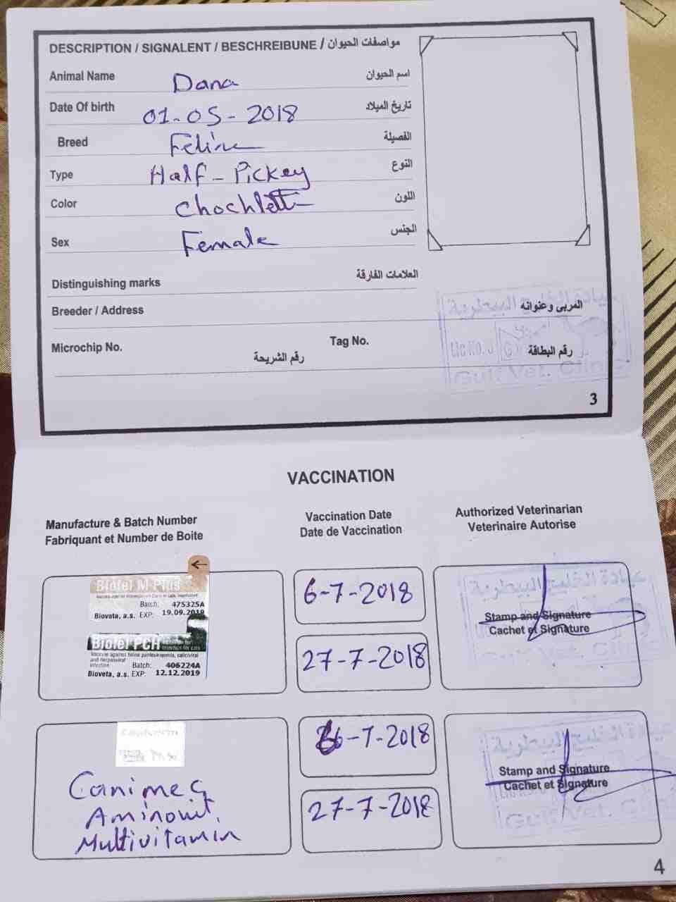 قطط هملايا شوكلت هاف بيكي فيس تقليب عااالي واخدين كل التطعيمات ومعاهم الشهاده الصحية
لا تنسَ أنك شاهدت هذا الإعلان في عنكبوت...
