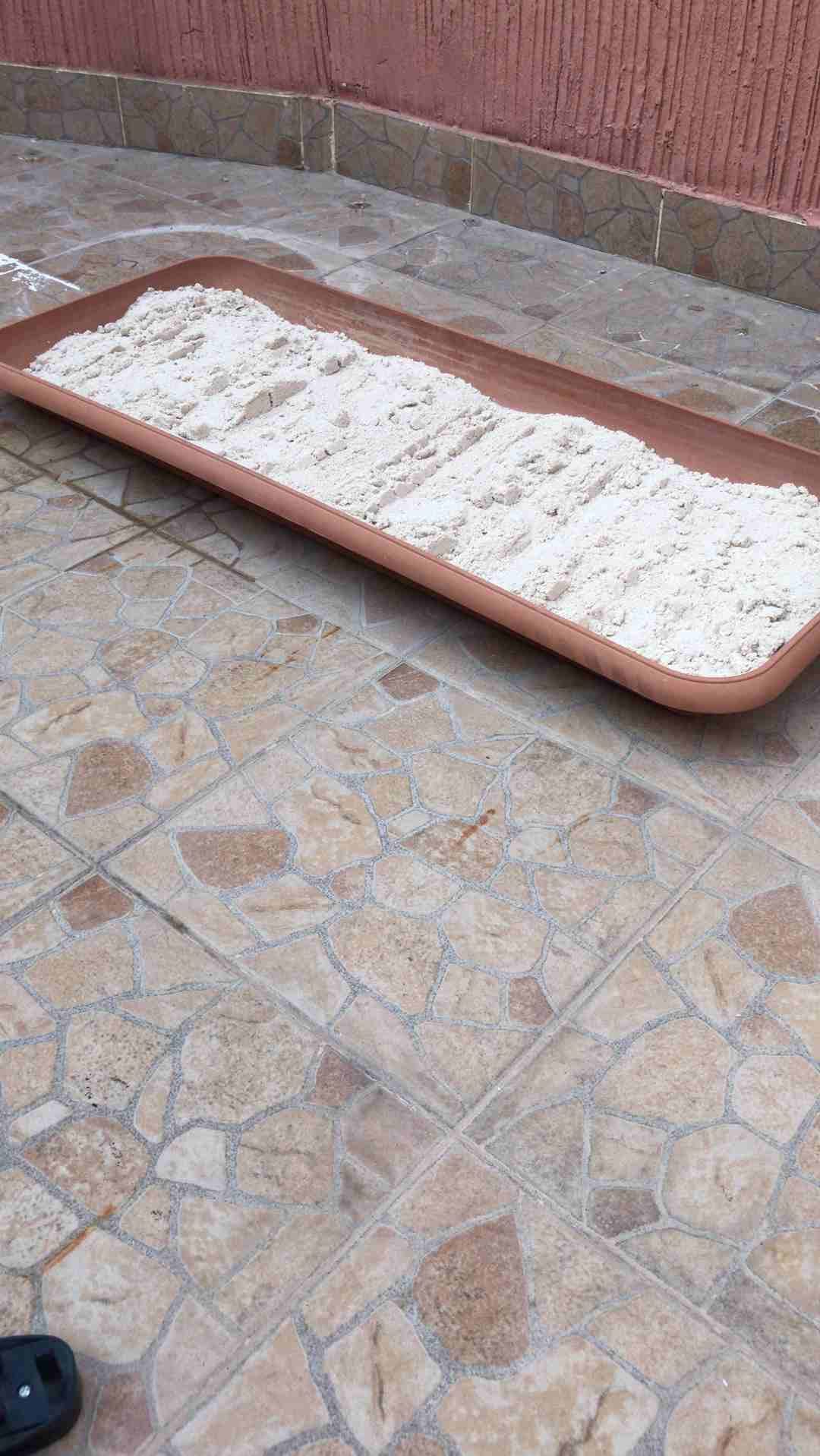 الملز شارع جرير
لا تنسَ أنك شاهدت هذا الإعلان في عنكبوت
عندي قطه شيرازي...لطيفه جدا ولعوبه ومتعود...