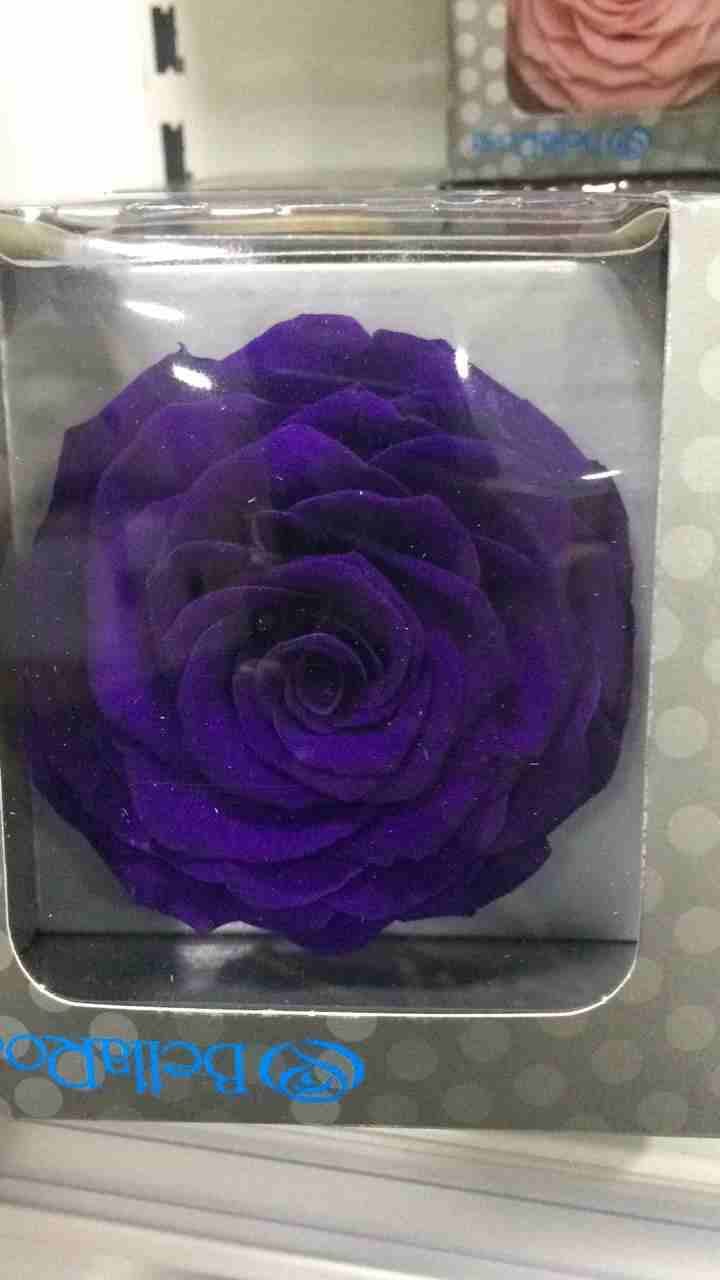 ورد طبيعي جوري ووطني وسنوي وامريكي
لا تنسَ أنك شاهدت هذا الإعلان في عنكبوت
ورد طبيعي جوري ووطني و...