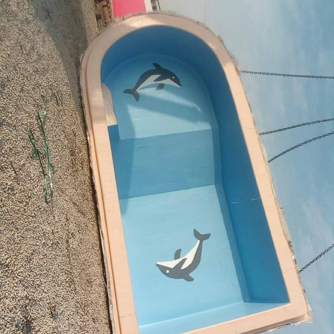 يوجدلدينامسابح فيبرجلاس
لا تنسَ أنك شاهدت هذا الإعلان في عنكبوت
يوجدلدينامسابح فيبرجلاس من جم...