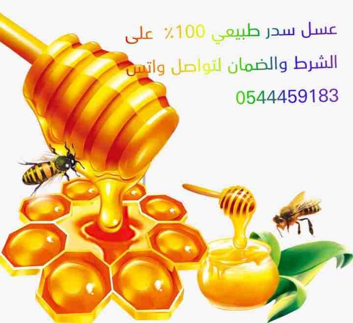 عسل سدر اصلي على الشرط والضمان
لا تنسَ أنك شاهدت هذا الإعلان في عنكبوت
يوجد لدنيا عسل سدر اصل...