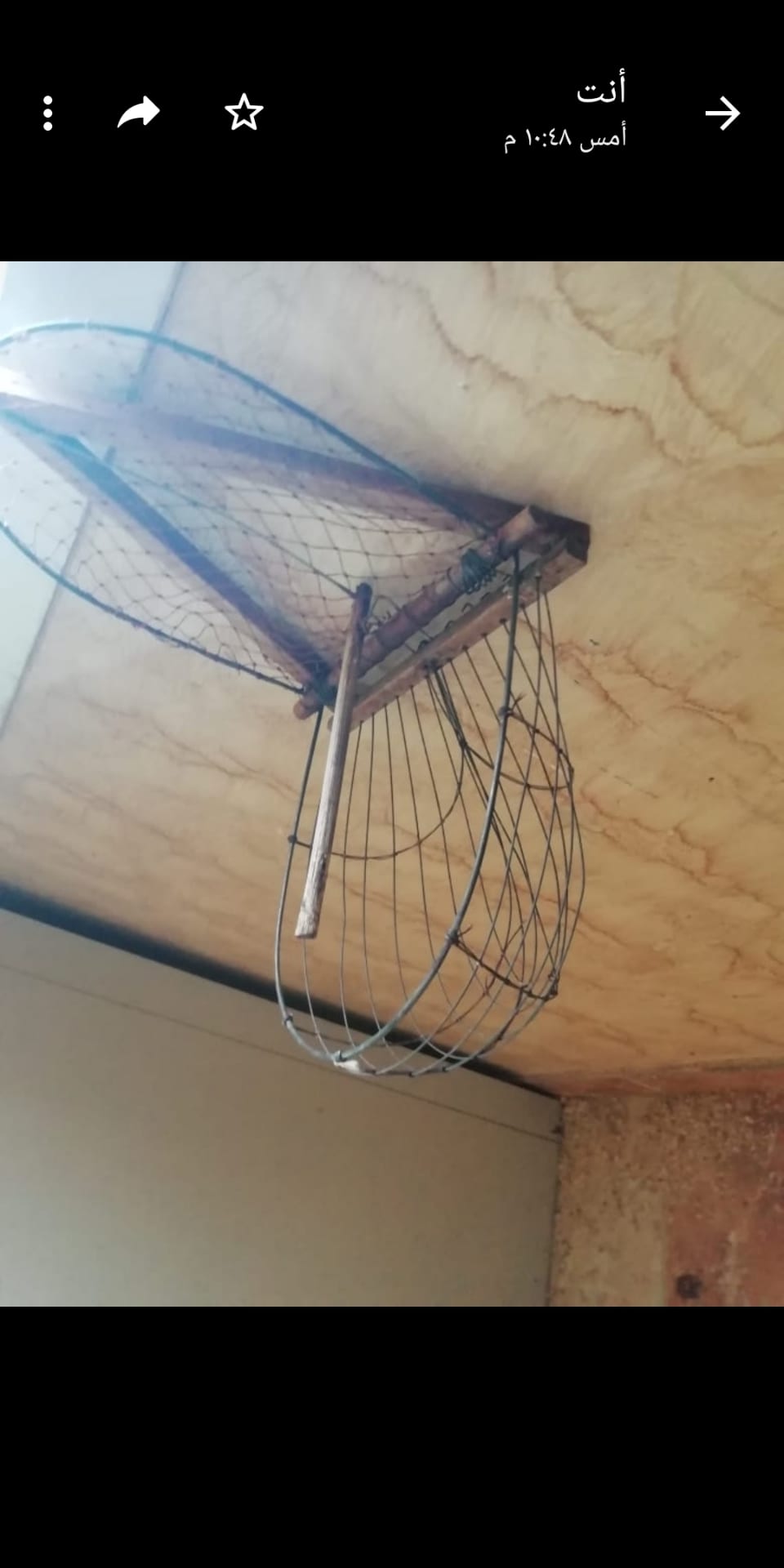 مصيده للبيع
لا تنسَ أنك شاهدت هذا الإعلان في عنكبوت
مصيده ل العصافير والبلابل والطيور للبيع...