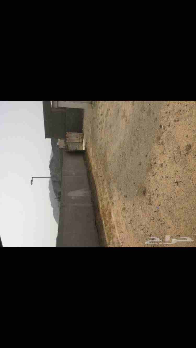 استراحه للبيع
لا تنسَ أنك شاهدت هذا الإعلان في عنكبوت
استراحه للبيع في الشرائع الكشبه بجوار الخط...