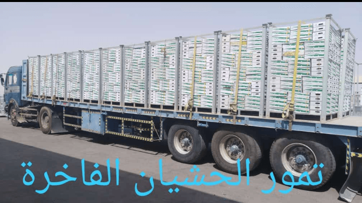 تمووووور الحشيان الفاخرة سكري الشيوخ وخلاص القصيم الشيوخ كيلو ونص كيلو متوفرة
لا تنسَ أنك شاهدت هذا الإعلان في عنكبوت...