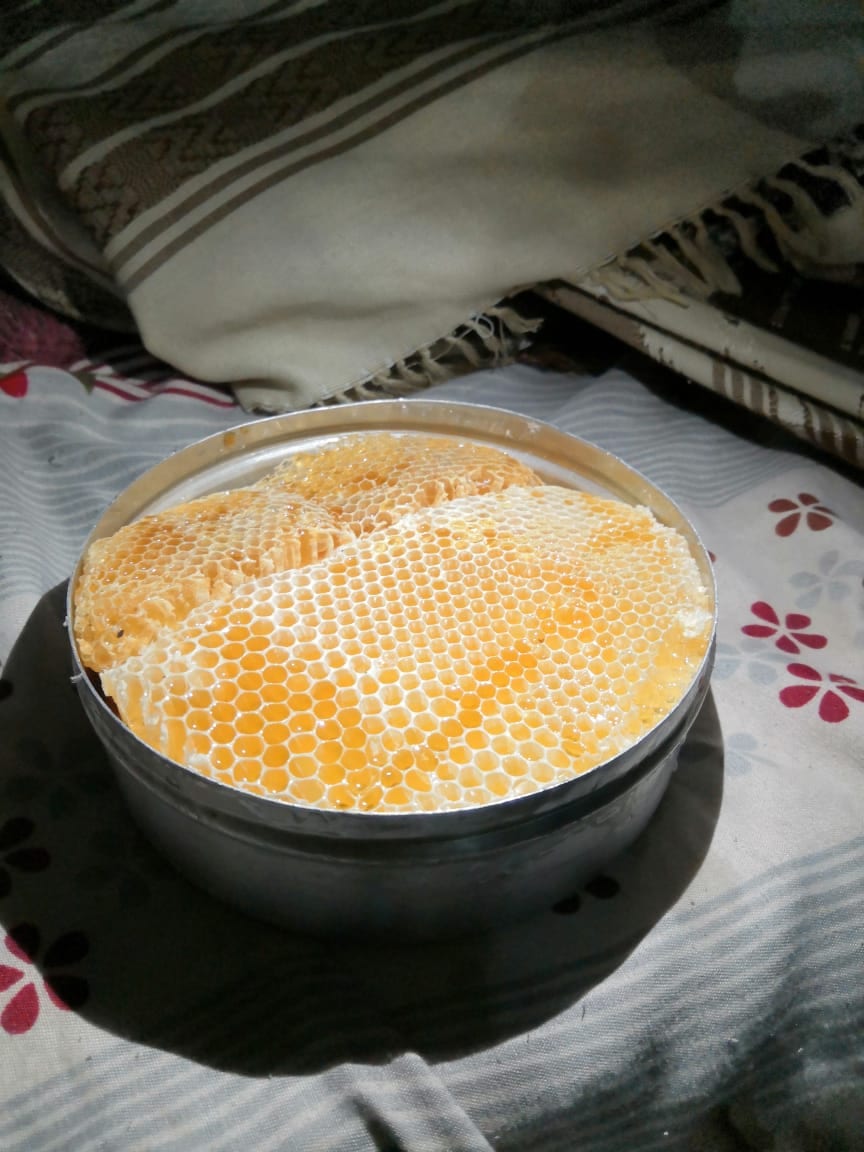 عسل سدر يمني
لا تنسَ أنك شاهدت هذا الإعلان في عنكبوت
عسل سدر يمني أصلي درجه اولى عالشرط
القرف...