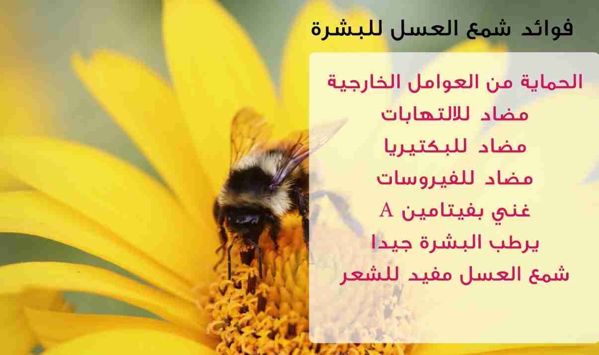 عسل اوربا
لا تنسَ أنك شاهدت هذا الإعلان في عنكبوت
‏‎#عسل_اوربا
‎#فوائد_العسل
مضاد...