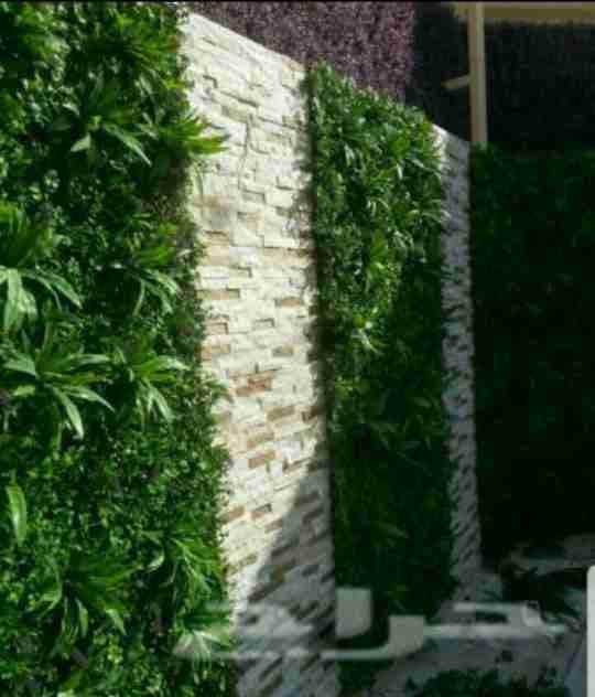 عشب صناعي جداري وحدائق0563673229
لا تنسَ أنك شاهدت هذا الإعلان في عنكبوت
توريد وتركيب العشب الصنا...