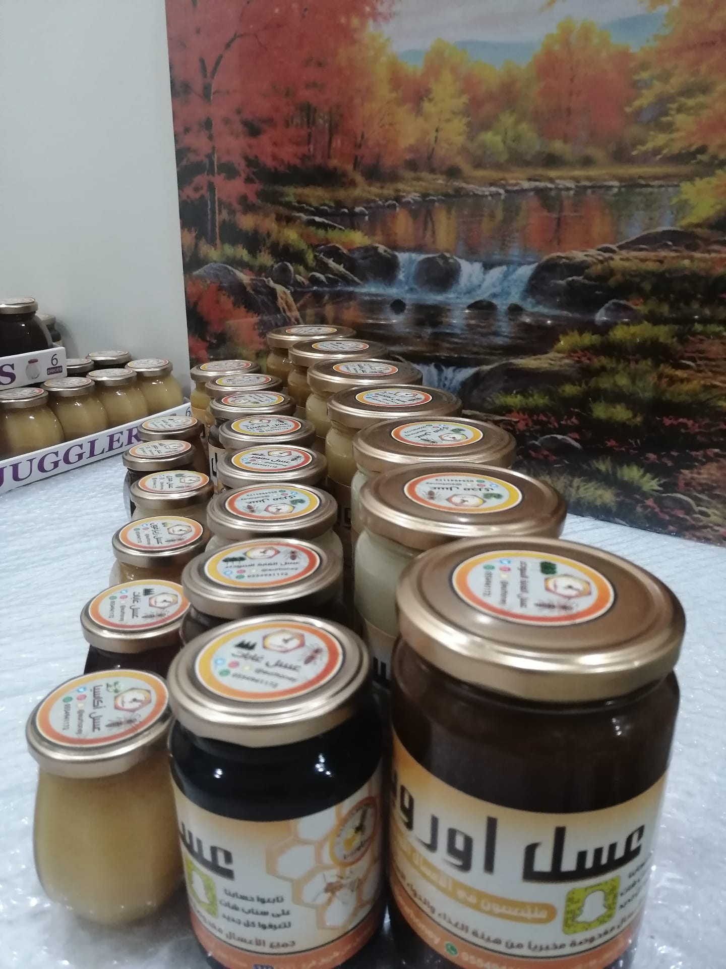 عسل اوربا
لا تنسَ أنك شاهدت هذا الإعلان في عنكبوت
فوائد العسل لأجسامنا وصحتنا
للطلب يرجئ إرسا...