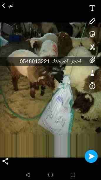 توصيل ذبايح نعيمي حلال طيب
لا تنسَ أنك شاهدت هذا الإعلان في عنكبوت
نوفر جميع الاغنام حسب طلب حيه...
