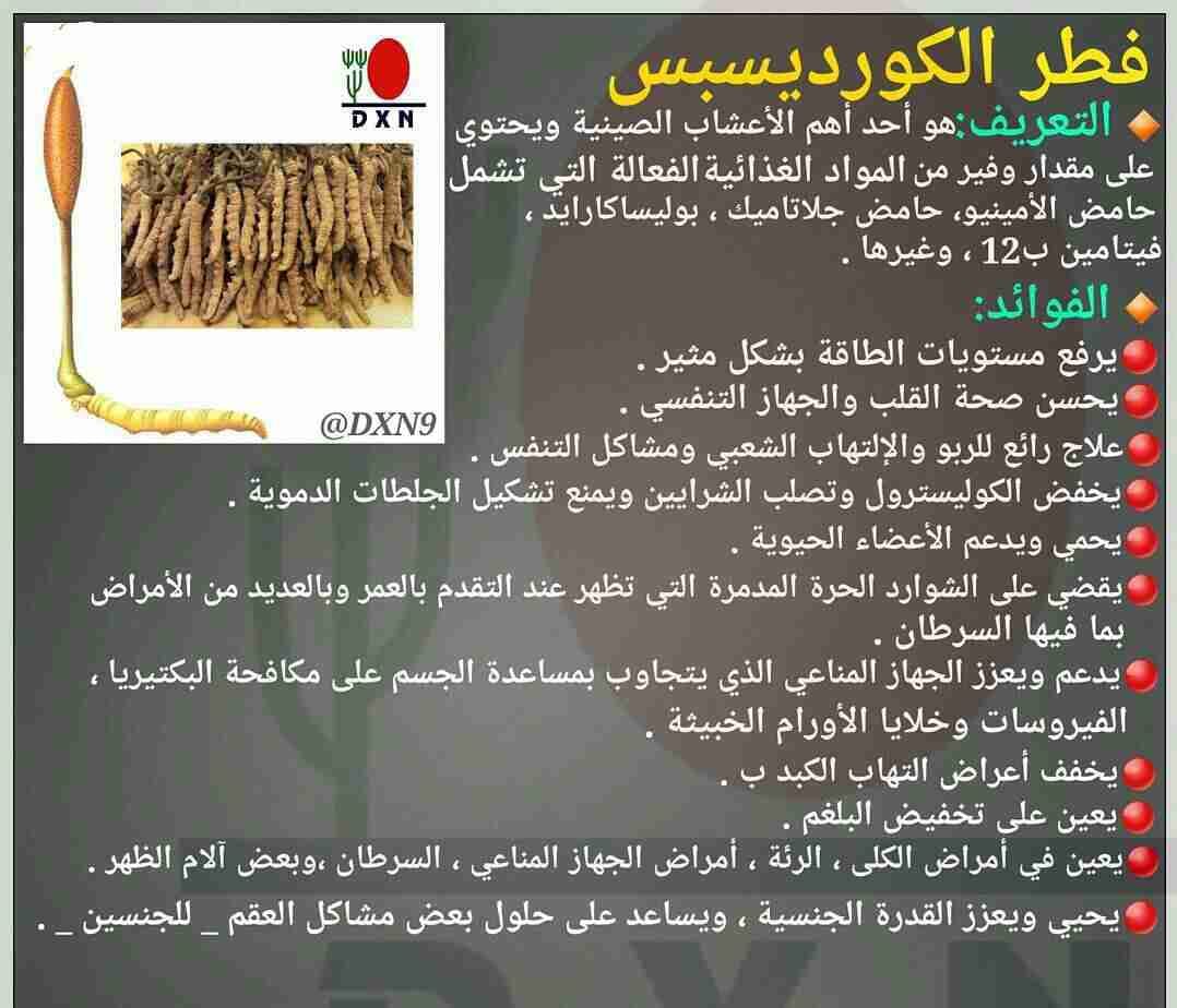 منتجات دكسن عضوية وصحية
لا تنسَ أنك شاهدت هذا الإعلان في عنكبوت
منتجات عضوية وصحية
لمن يبحث ع...
