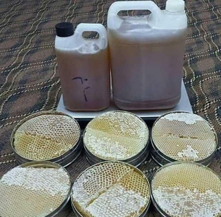 عسل سدر اصلي وطبيعي
لا تنسَ أنك شاهدت هذا الإعلان في عنكبوت
بسم الله
اسعد الله جميع اوقاتكم...