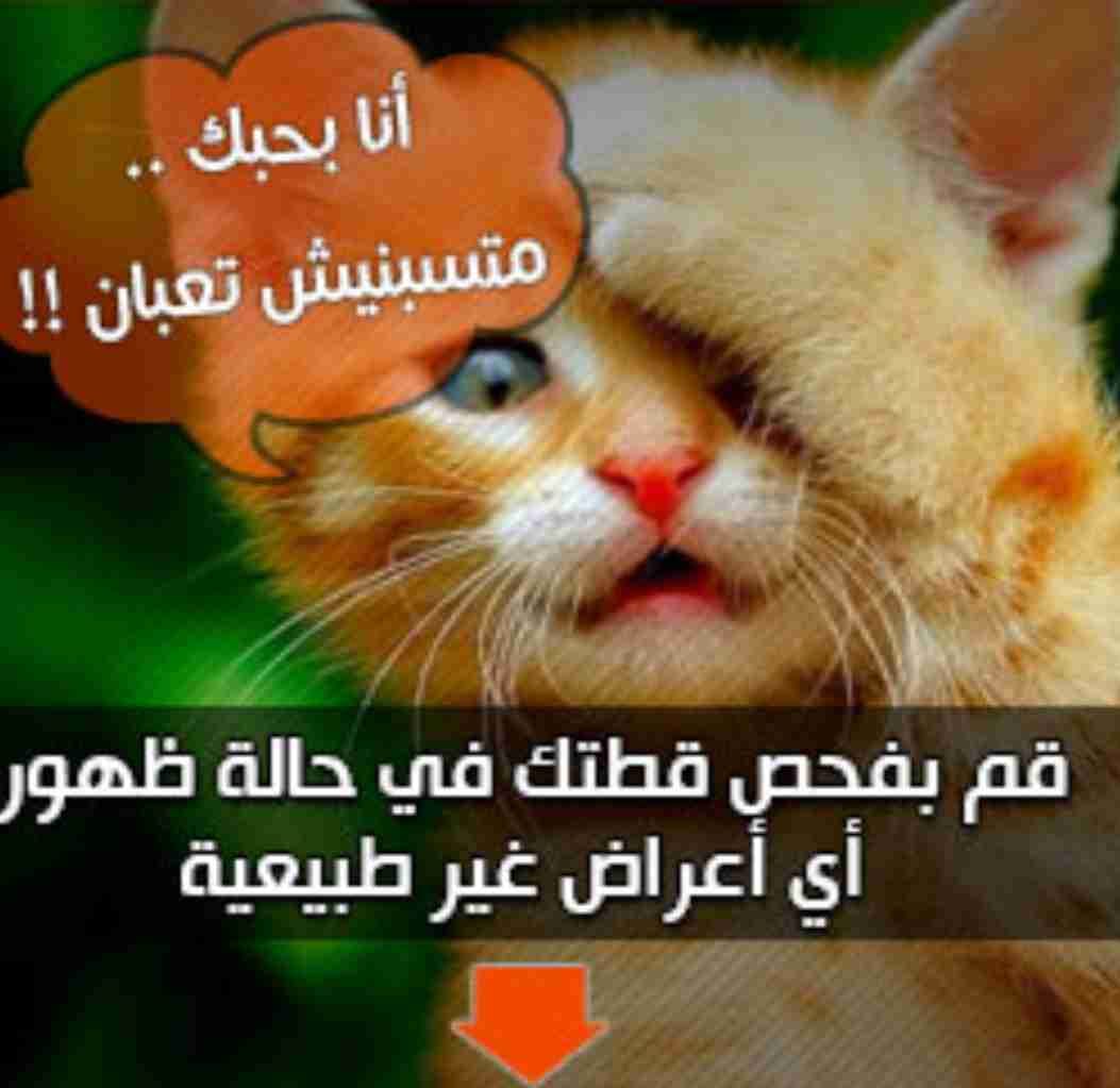 طبيب بيطري اخصائي حيوانات أليفة للعلاج القطط
لا تنسَ أنك شاهدت هذا الإعلان في عنكبوت
إذا لاحظ...