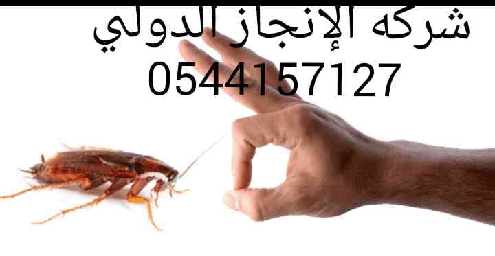 شركه الإنجاز الدولي لمكافحه جميع انواع الحشرات الطائره والزاحفه وبق الفراش
لا تنسَ أنك شاهدت هذا الإعلان في عنكبوت...