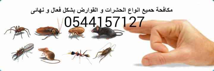 شركه الإنجاز الدولي لمكافحه جميع انواع الحشرات الطائره والزاحفه وبق الفراش
لا تنسَ أنك شاهدت هذا الإعلان في عنكبوت...