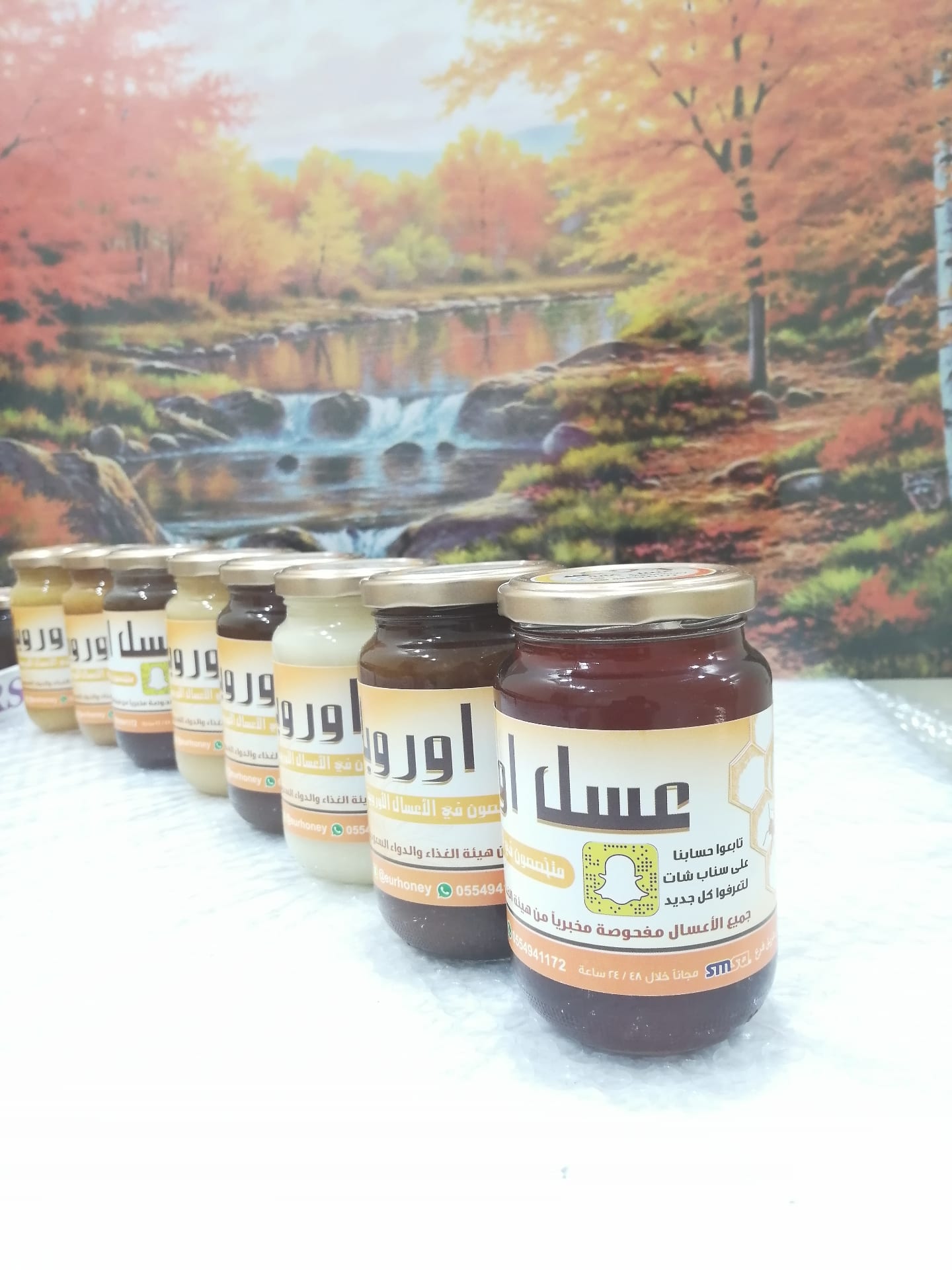 عسل اوربا
لا تنسَ أنك شاهدت هذا الإعلان في عنكبوت
فوائد العسل لأجسامنا وصحتنا
للطلب يرجئ إرسا...