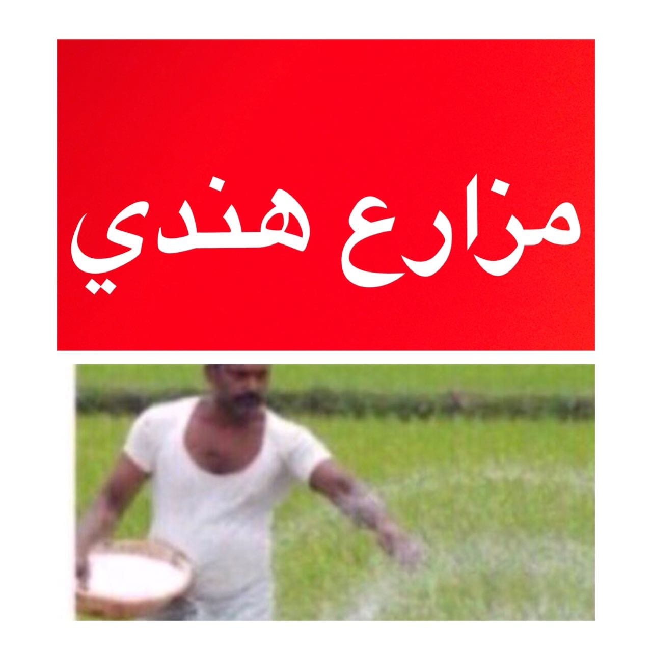 مزارع وعامل استراحة
لا تنسَ أنك شاهدت هذا الإعلان في عنكبوت
العنوان: استقدام سواق من الهند وا...