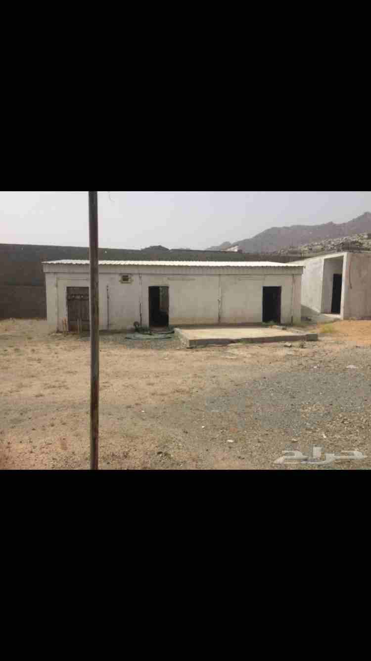 استراحه للبيع
لا تنسَ أنك شاهدت هذا الإعلان في عنكبوت
استراحه للبيع في الشرائع الكشبه بجوار الخط...