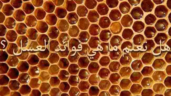عسل اوربا
لا تنسَ أنك شاهدت هذا الإعلان في عنكبوت
‏‎#عسل_اوربا
خاص للرجال
خلطة عسل_ا...