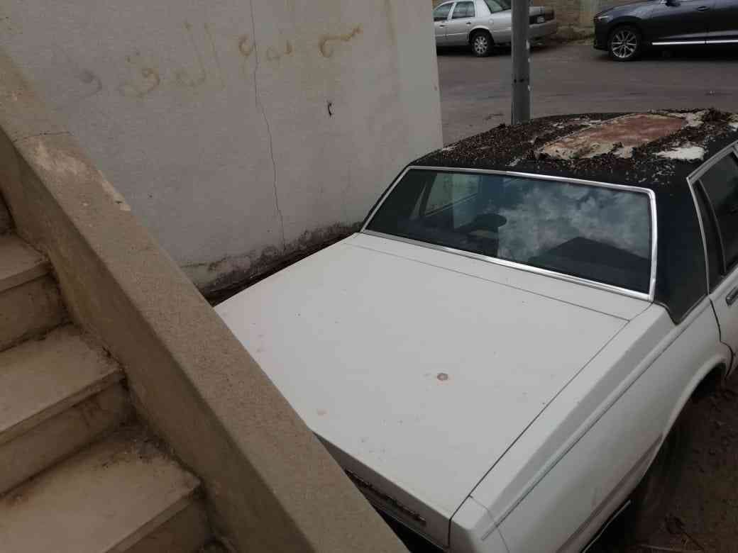 كابريس 86
لا تنسَ أنك شاهدت هذا الإعلان في عنكبوت
المحرك ب جميع أغراض والجربوكس والدنمو والسل...