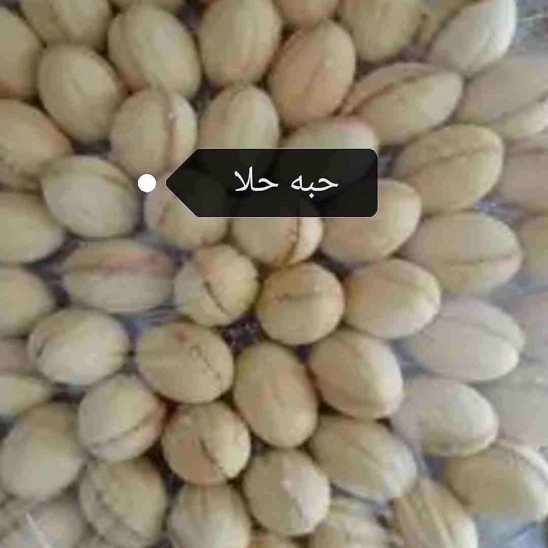 معجنات وحلويات وكوكيز
لا تنسَ أنك شاهدت هذا الإعلان في عنكبوت
معجنات وحلويات وكعك ومفتول فلسطيني...