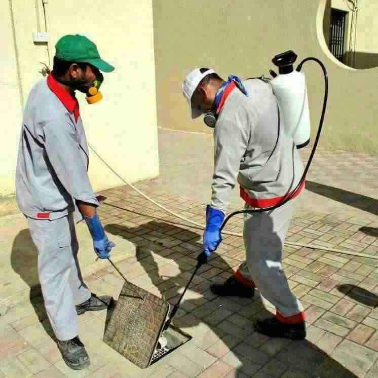 نظافة عامه وغسيل مجالس وتنظيف شقق وفلل ومكافحة حشرات 0544962312
لا تنسَ أنك شاهدت هذا الإعلان في عنكبوت...