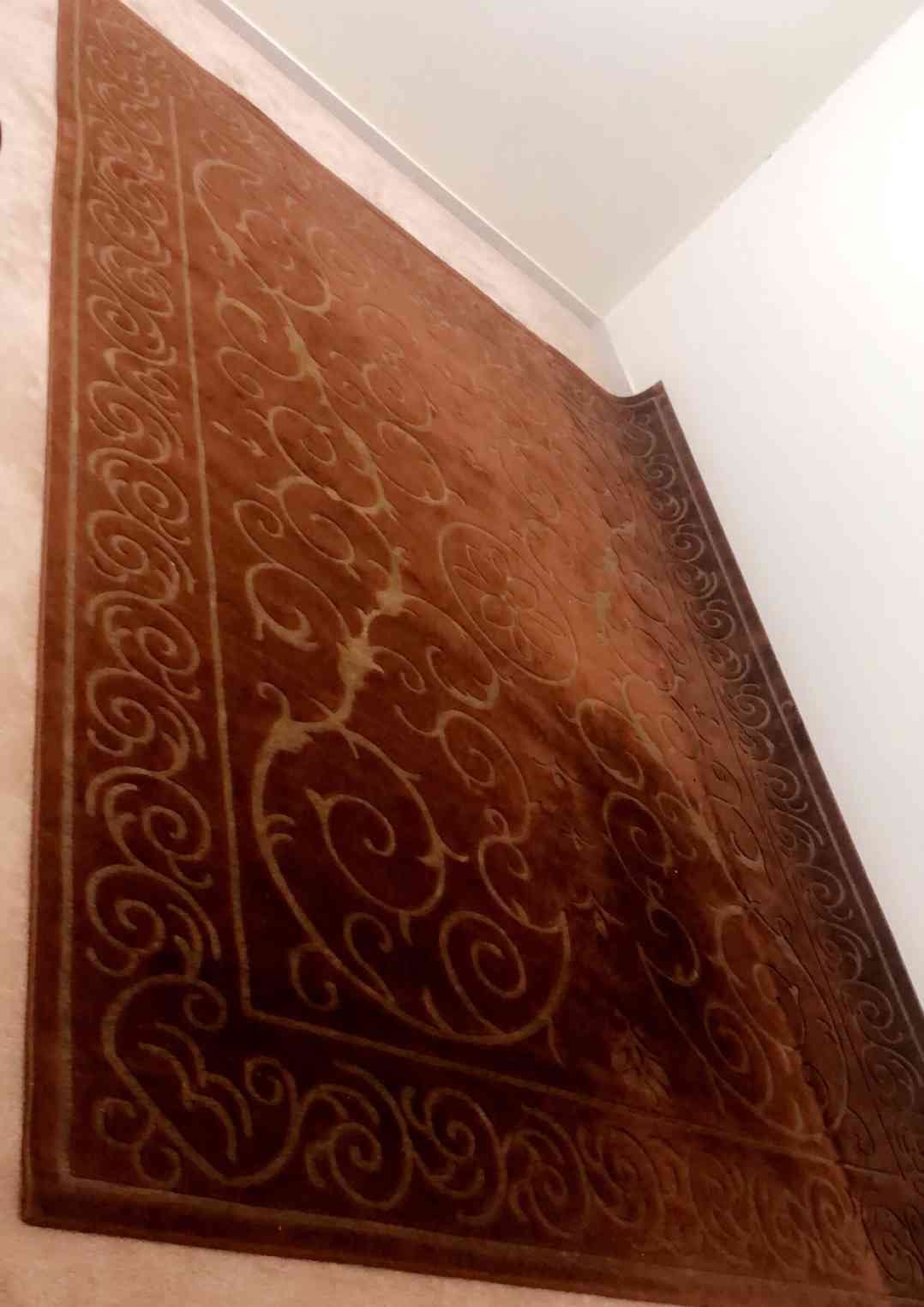 سجاد نوع فاخر وشبه جديد بسعر مغري مع طاوله مجاناً
لا تنسَ أنك شاهدت هذا الإعلان في عنكبوت
الع...