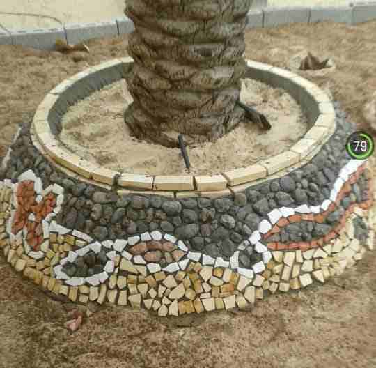 تنسيق حدائق
لا تنسَ أنك شاهدت هذا الإعلان في عنكبوت
تنسيق حدائق شلالات نوافير ديكورات صيانة فلل و...