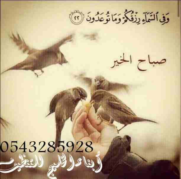 السلام عليكم ورحمة الله وبركاته
أهلا ومرحبا بكم في أفضل شركه تنظيف بالمدينه المنورة أبناء الخليج للتنظيف الشامل والكامل للشقق السكنيه والمنازل المفروشة والعمارات والفلل والقصور وقاعات الأفراح والمناسب...
