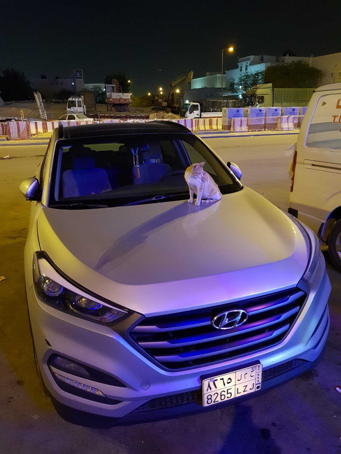 good condesin
لا تنسَ أنك شاهدت هذا الإعلان في عنكبوت
96000 km 0...