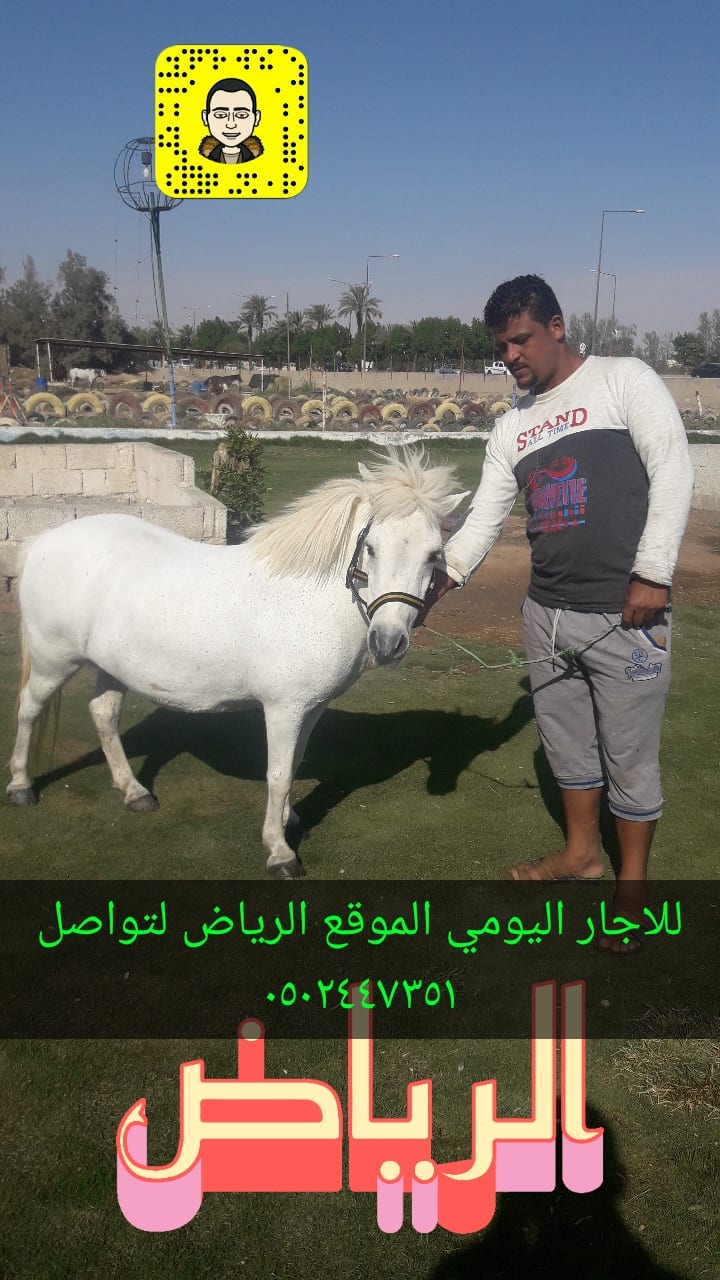 سيسى للايجار اليومي
لا تنسَ أنك شاهدت هذا الإعلان في عنكبوت
سيسى للايجار اليومي الموقع الرياض...