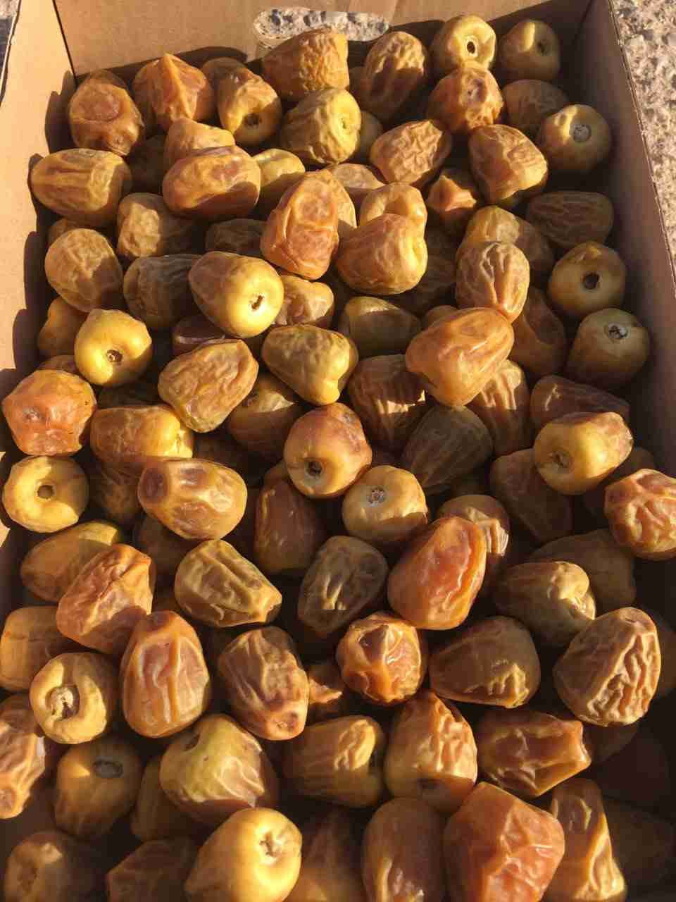 تمور القصيم
لا تنسَ أنك شاهدت هذا الإعلان في عنكبوت
يوجد لدينا افطار صايم سكري...
