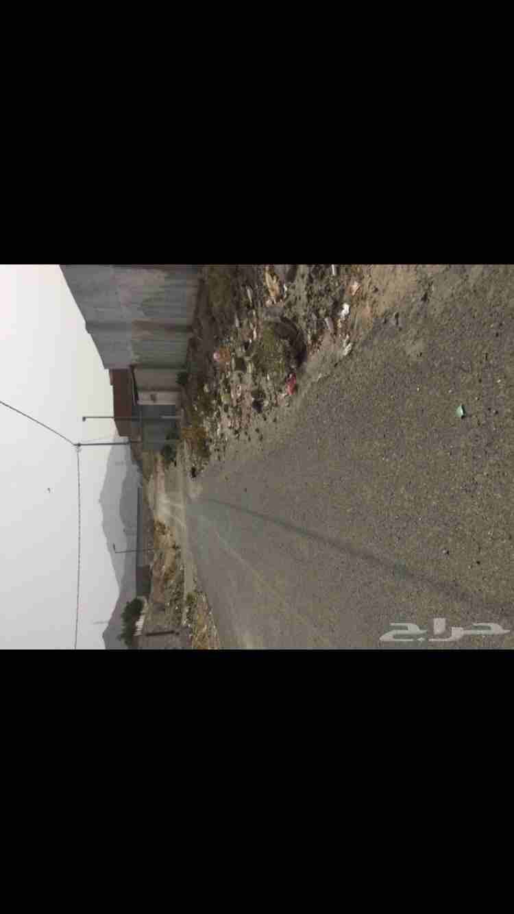 استراحه للبيع
لا تنسَ أنك شاهدت هذا الإعلان في عنكبوت
استراحه للبيع في الشرائع الكشبه بجوار الخط...