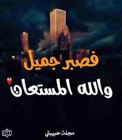 نقل عفش
لا تنسَ أنك شاهدت هذا الإعلان في عنكبوت
نقل عفش
الملكه العربيه السعوديه...