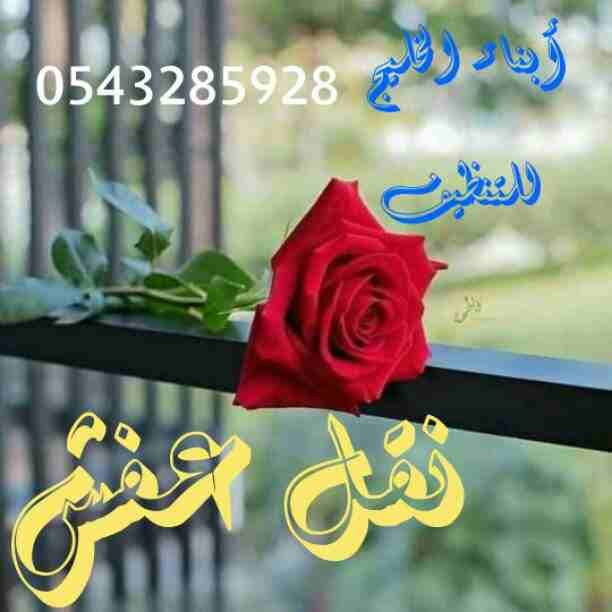 شركه نقل عفش وتنظيف بالمدينة المنورة أبناء الخليج لنقل العفش لجميع أنحاء المملكه مع الفك والتركيب والتغليف والتخزين متخصصين في جميع مجالات نقل الاثاث المختلفه
أفضل شركه تنظيف بالمدينه المنورة أبناء...