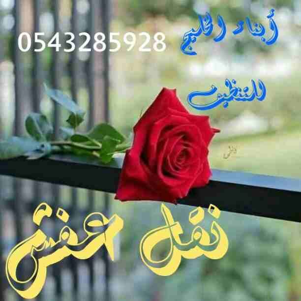 السلام عليكم ورحمة الله وبركاته أفضل شركه نقل عفش بالمدينة المنورة أبناء الخليج لنقل العفش لجميع أنحاء المملكه مع الفك والتركيب والتغليف والتخزين متخصصين في جميع مجالات نقل الاثاث المختلفه
أفضل شركه...