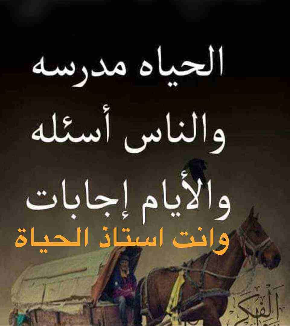 ابحث عن موضفات لاتوصيل
لا تنسَ أنك شاهدت هذا الإعلان في عنكبوت
السلام عليكم ورحمة الله وبركاته ا...