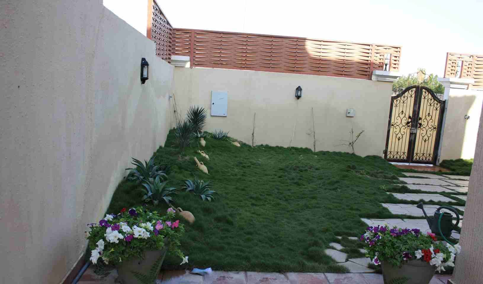 0537879316 تنسيق حدايق وعمل شبكات الري العادي والاتماتك وتركيب وتويد الشعب الصناعي والجداري والطبيعي وزرع النخيل باانوعها والصيانه المستديمة ا