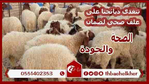 نعمل في بيع وذبح وتغليف وتوصيل أفضل الأغنام البلدي بسيارات مبردة علي مدار العام بجميع أحياء جدة ومكة
وتتميز منتجاتنا بالجودة العالية والأسعار المناسبة
(توصيل الذبائح للمنازل جدة مجانا - توصيل الذبائح...
