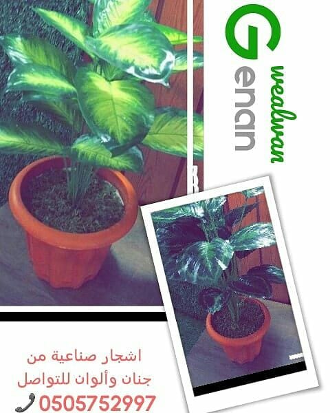 تقدم لكم مؤسسة
🍁جنان وألوان☘️
الرائدة في مجال استيراد وتركيب العشب الصناعي وديكورات الحديقة وتنفيذها كل ما تحتاجة الحديقة في مكان واحد.
نحن نضمن الجودة والسعر المنافس على مستوى المملكة
أعمالنا تتح...