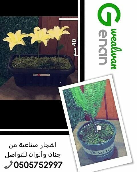 تقدم لكم مؤسسة
🍁جنان وألوان☘️
الرائدة في مجال استيراد وتركيب العشب الصناعي وديكورات الحديقة وتنفيذها كل ما تحتاجة الحديقة في مكان واحد.
نحن نضمن الجودة والسعر المنافس على مستوى المملكة
أعمالنا تتح...