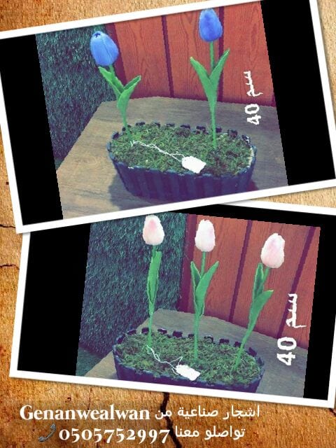 تقدم لكم مؤسسة
🍁جنان وألوان☘️
الرائدة في مجال استيراد وتركيب العشب الصناعي وديكورات الحديقة وتنفيذها كل ما تحتاجة الحديقة في مكان واحد.
نحن نضمن الجودة والسعر المنافس على مستوى المملكة
أعمالنا تتح...