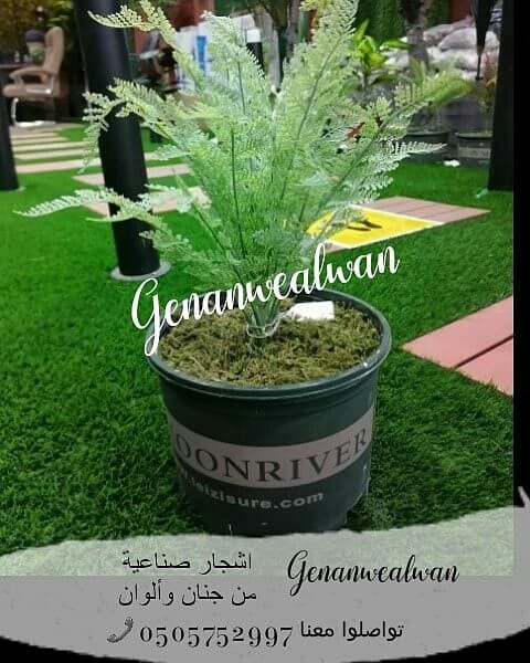 تقدم لكم مؤسسة
🍁جنان وألوان☘️
الرائدة في مجال استيراد وتركيب العشب الصناعي وديكورات الحديقة وتنفيذها كل ما تحتاجة الحديقة في مكان واحد.
نحن نضمن الجودة والسعر المنافس على مستوى المملكة
أعمالنا تتح...