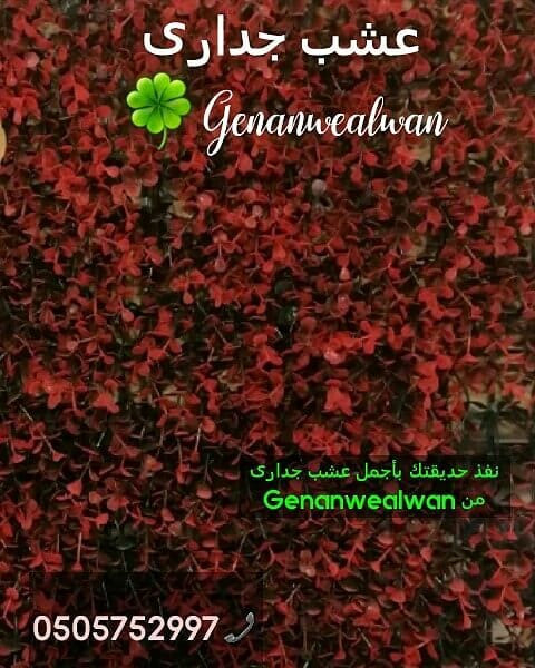 تقدم لكم مؤسسة
🍁جنان وألوان☘️
الرائدة في مجال استيراد وتركيب العشب الصناعي وديكورات الحديقة وتنفيذها كل ما تحتاجة الحديقة في مكان واحد.
نحن نضمن الجودة والسعر المنافس على مستوى المملكة
أعمالنا تتح...