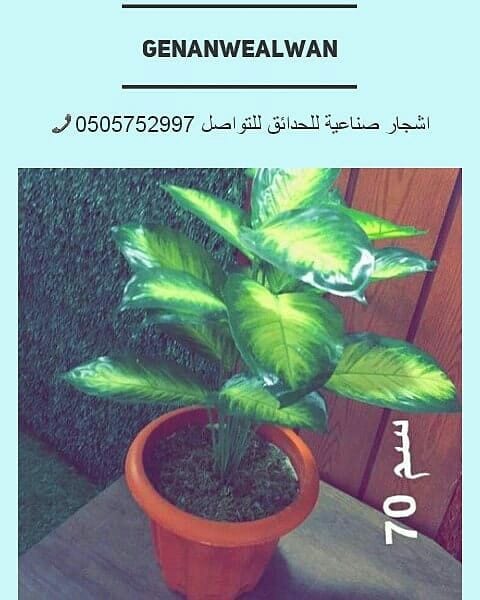 تقدم لكم مؤسسة
🍁جنان وألوان☘️
الرائدة في مجال استيراد وتركيب العشب الصناعي وديكورات الحديقة وتنفيذها كل ما تحتاجة الحديقة في مكان واحد.
نحن نضمن الجودة والسعر المنافس على مستوى المملكة
أعمالنا تتح...