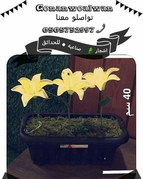 تقدم لكم مؤسسة
🍁جنان وألوان☘️
الرائدة في مجال استيراد وتركيب العشب الصناعي وديكورات الحديقة وتنفيذها كل ما تحتاجة الحديقة في مكان واحد.
نحن نضمن الجودة والسعر المنافس على مستوى المملكة
أعمالنا تتح...