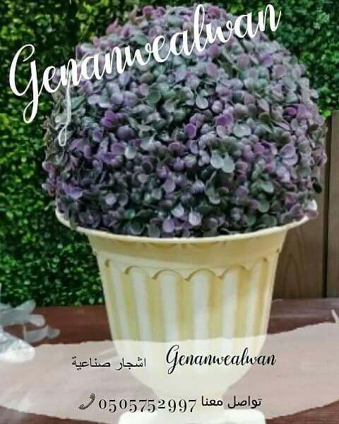 تقدم لكم مؤسسة
🍁جنان وألوان☘️
الرائدة في مجال استيراد وتركيب العشب الصناعي وديكورات الحديقة وتنفيذها كل ما تحتاجة الحديقة في مكان واحد.
نحن نضمن الجودة والسعر المنافس على مستوى المملكة
أعمالنا تتح...