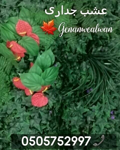 تقدم لكم مؤسسة
🍁جنان وألوان☘️
الرائدة في مجال استيراد وتركيب العشب الصناعي وديكورات الحديقة وتنفيذها كل ما تحتاجة الحديقة في مكان واحد.
نحن نضمن الجودة والسعر المنافس على مستوى المملكة
أعمالنا تتح...