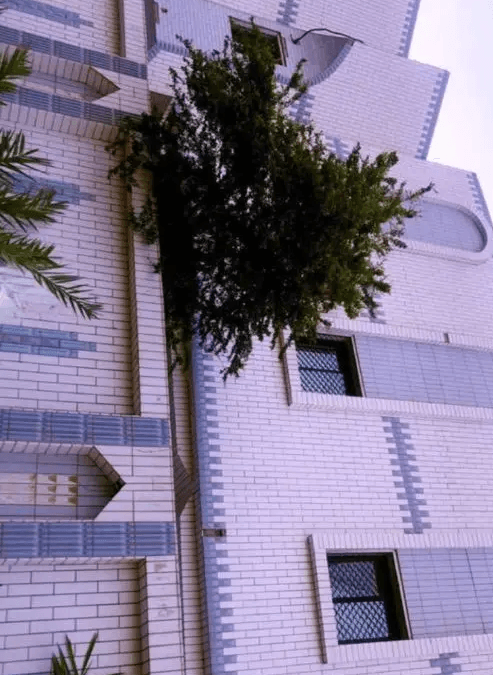 للبيع فيلا دورين وملحق ( حرة ) داخل حدود الحرم النبوي الشري